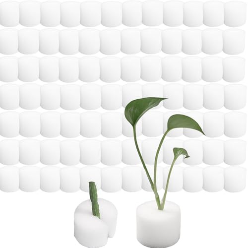 OHYER Rockwool Cube Steinwolle Plugs Erde Sämlingsblock Anzuchtwürfel Steinwolle Cube Hydroponic Erdlose Kultur Zylindrische Pflanzenstopfen für Stecklinge Anbau von Sämling Gemüse (Weiße, 25 * 20mm)