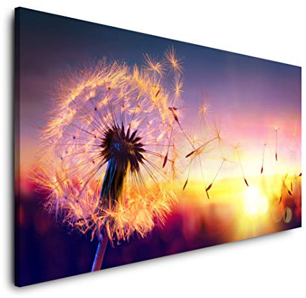 Löwenzahn im Sonnenuntergang 120x 60cm Panorama Leinwand Bild XXL Format Wandbilder Wohnzimmer Wohnung Deko Kunstdrucke