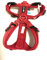 Petlando Y-Comfort Mesh Geschirr rot S (Halsumfang 34-62 cm, Brustumfang 44-60 cm)