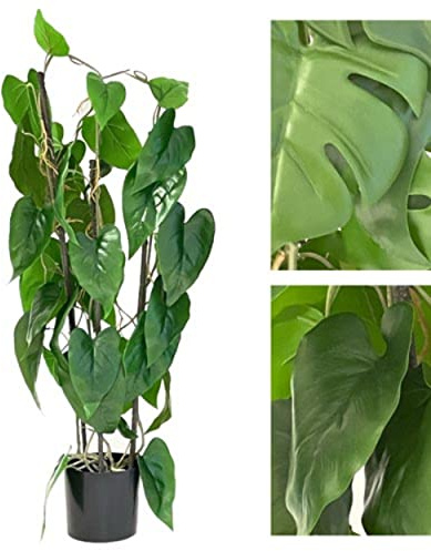 VEA SRL PIANTA G. Monstera Tropical 77cm 58708