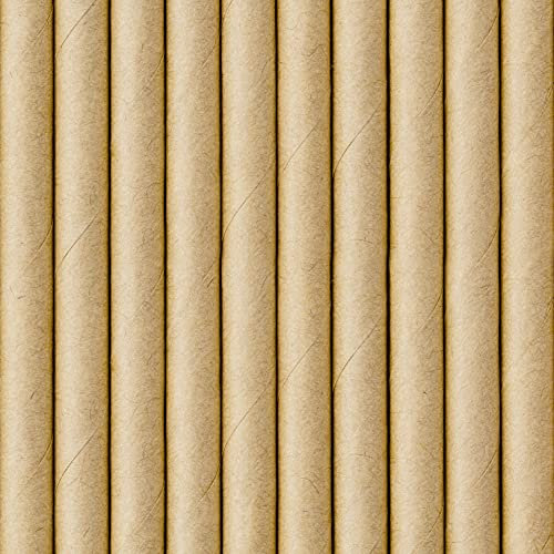 Paper Straws 19.5 cm Kraft Paper Set of 10 - Biodegradable - Drinking Straws Disposable - Cocktail Straws - Drinks Decoration Party Accessories - Natural Brown