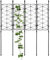 Enrejado de jardín para Enredaderas, Enrejado de Soporte para Plantas de Interior, Soporte para Plantas, Suministros de jardín, Rejilla de jardín para pepinos, Tomates, clemátides, viñedos,