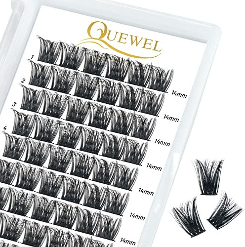 Wimpern Einzeln QUEWEL Einzelne Wimpern Cluster Lashes 72Stck. C Curl 14mm Wimpern Segmente Breit Fundament Individuelle Wimpern für Augen Make-up DIY Wimpernverlängerung(Honey 01-C-14mm)