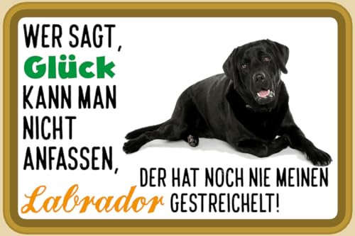 mrdeco Metall Schild 12x18cm gewölbt Glück nicht anfassen Labrador Schild