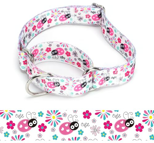haoyueer Robustes Martingale-Hundehalsband aus Nylon, verstellbar, für Spaziergänge, Training, Jungen und Mädchen (A85NO8, M: 36–45 cm)