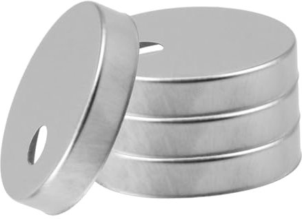 VILLCASE 2 Pairs Decorative Stainless Steel Toilet Seat Bolts Covers Replacement Hinge Fixings for Wc Seats Easy Install and Stylish
