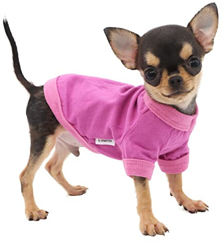 LOPHIPETS 100% Cotton Dog Tee Shirt for Small Dogs Teacup Chihuahua Yorkie Puppy Clothes-Purple/XS