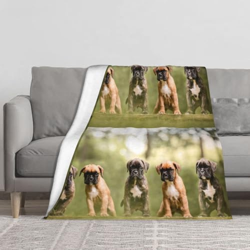 Boxer Hunde Welpen Haustiere Familienhunde Kuscheldecke, warme Flanell-Fleece-Plüsch-weiche Überwurfdecke als Bettdecke/Bettlaken, 127 x 152 cm