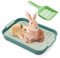 APOMOONS Bac à litière pour lapin, bac à litière pour lapin, petit animal, lapin, cochon d'Inde (petit vert)