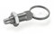 Ganter Normelemente GN 717-8-M12X1,5-AK-NI Edelstahl-Rastbolzen, silber, 2 Stück
