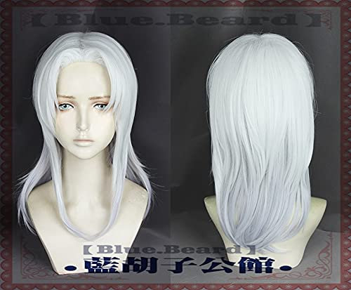 Anime The Dragon Prince Rayla Perücke, 60 cm, Silber-Wei?, gelockt, Kunsthaar-Perücke, Cosplay-Kostüm, Perückenkappe