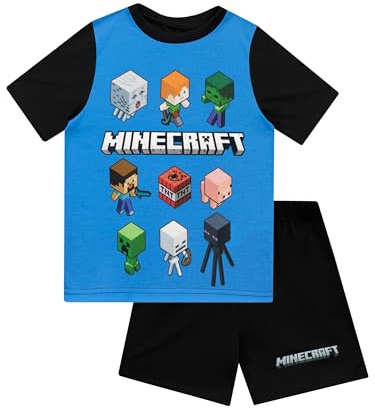 Minecraft Boy's Mcpj5564 Pyjama set (pack of 1)