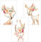 Olgs Babyzimmer Poster Boho 3er Set, Kinderzimmer Deko Bilder DIN A4, Wandbilder Tiere, Waldtiere Blumen Feder Fuchs Hase Reh - Wandposter Mädchen Junge