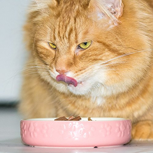 Set of 2 Embossed Paw Print Small Cat Bowls (Pink)