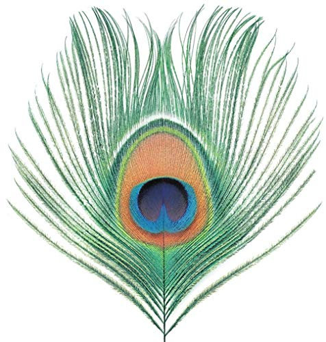 Apple Venus (Vol.1) (200 Gramm Vinyl) [Vinyl LP]