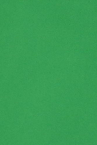 Netuno 10 x Tonkarton DIN A3 297x 420 mm Grün 250g Burano Verde Bandiera Bastelkarton einfarbig Fotokarton A3 bunt durchgefärbt Feinpapier DIY Bogen Kreativ-Karton farbig buntes Tonpapier