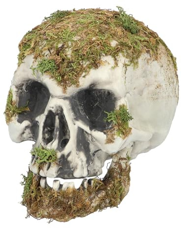 Boland 73099 - Schädel Swamp, Dekoration für Halloween und Karneval, Totenkopf, Skelett
