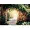 murando - Papier peint panoramique artistique 350x256 cm - Revêtement mural décoration pour chambre salon - Design moderne - Beige gris vert - Pierre feuilles nature plantes f-B-0294-a-a