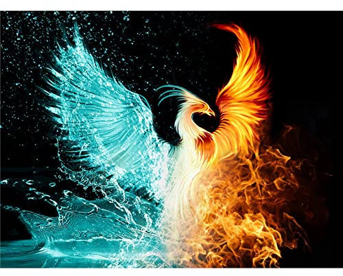 YSCOLOR Diamond Painting Wasser und Feuer Phoenix DIY Diamantmalerei Kreuzstich Dekorative Stickerei für zu Hause Chinesisch Traditionell Phoenix 30 x 40 cm