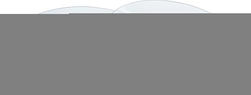 VBS Lot de 2 assiettes en verre rondes Ø 25cm Assiette décorative Vaisselle Assiette à petit-déjeuner