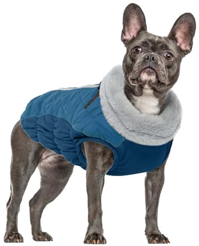 Hunde Wintermäntel, Hundejacke Fleece wasserdichte Kleine Hunde Winterweste Hundepullover Schneeanzug Kleine Hunde Fashion Sports Hundemantel Französische Bulldogge Kleidung(Dunkelgrün, S)
