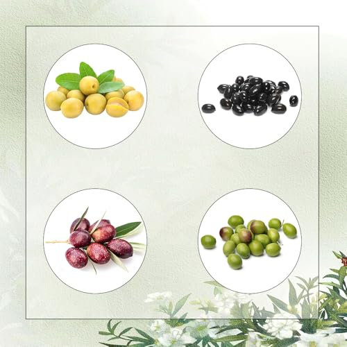 semillas de olivo olivo resistente - Olivo - Semillas orgánicas, semillas de variedades antiguas, setos, arbustos, semillas de olivo, fruta de zapote, plantas resistentes en macetas 8pcs