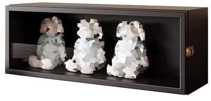LXBAMKEA Vitrinen, Figuren- Und Kuriositätensammlung Vitrine Mit Acryltür, Arbeitsplatte Schaukasten Für Heimbüro Spielzimmer Schlafzimmer Dekoration, Aufbewahrung Organizer(Black)
