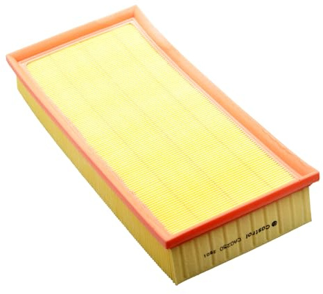 Castrol Filters CA0250 Air Filter