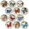 12 Stück Kühlschrank Magnete Kühlschrankmagnete Dekorative für Kühlschrank Magnete Kinder Glascabochons Glasmagnete für Whiteboards Kühlschränke Fotos (Runde/30 mm)-Retro Schmetterling