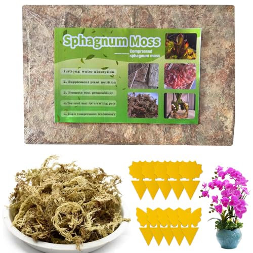 LYPPUL Sphagnum Moos für Pflanzen, 200g Spaghnummoss für Orchideen, Terrarium Blumenerde Zimmerpflanzen, Ernährung Organisches Torfmoos mit Gelbsticker Trauermücken für Geweihfarne Pflanzensetzlinge