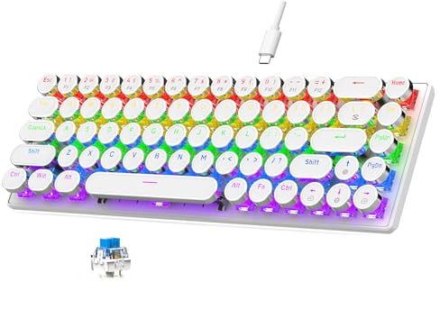 Rushbom Clavier de Jeu Mécanique de Style Typique, Clavier Mécanique câblé RVB RGB Bleu Blue Switch Round 68 Key Keyboard Retro Retro Gaming pour Ordinateur de Bureau et (Blanc)