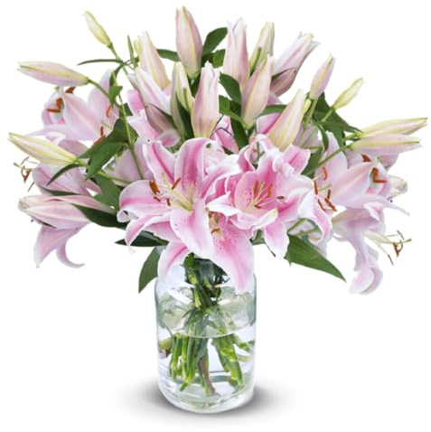 Blume Ideal Blumenstrauß | 10 Pinke Lilien | Ø 40–50 cm | Echte Lilien für Hochzeit & Deko | 7 Tage Frischegarantie | In verschiedenen Mengen