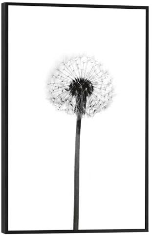 REINDERS Gerahmtes Bild, Pusteblume, Küche, Bilder, Wanddeko, Room Decor, MDF, Schwarz-Weiß, 30x20cm