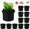 WHATWEARS 12-Pack Plant Grow Bags, Thickened Nonwoven Fabric Pots with Handles, Vegetable Planter Bags Containers, Cloth Planters for Garden Vegetable/Flower/Plant/Fruits Outdoor (Black, 15 Gallon)
