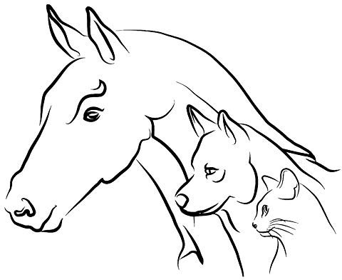 30258-Verschiedene-Größen-Farben-UdSSR-Sänger-Star-Victor-Tsoi-Autoaufkleber-Vinyl-Aufkleber-wasserdichte-Aufkleber-auf(1)