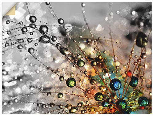 ARTland Wanddeko Wandtattoo selbstklebende Vinylfolie Blumen Pusteblume Botanik Blüten Modern Kunst Sommer Natur T9IN