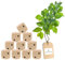 10x HOFMEISTER® Würfel Augenzahlen Holz 4 cm - Holzwürfel Kinder Erwachsene Spielen Brettspiel Party Spieleabend Partyspiel, 100% Naturprodukt unbehandelt aus heimischem Buchenholz, 4 x 4 cm