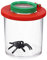 Dequate Becherlupe Lupendose Kinder Insekten Outdoor Mit Lupenheft 4X Überlagerbar Lupendose Zum Umhängen - Tragbar Insektenbeobachter Für Kinder - Transparent, Age 3+