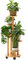 Bamboo Corner Plant Stand with Wheels, 5 Tiered for Indoor Plants Multiple, Window Garden Balcony Living Room