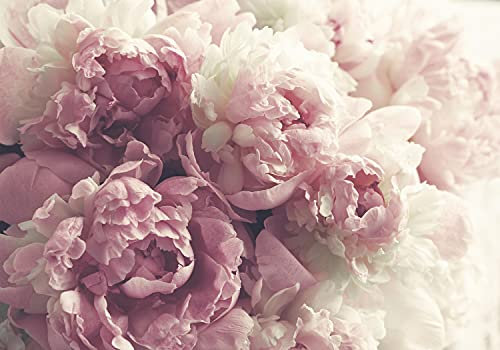 wandmotiv24 Fototapete Rose Vintage rosa, 400 x 280 cm - selbstklebende Strukturtapete, Wanddeko, Wandbild, Wandtapete, Rosen Blumen weiß M6764