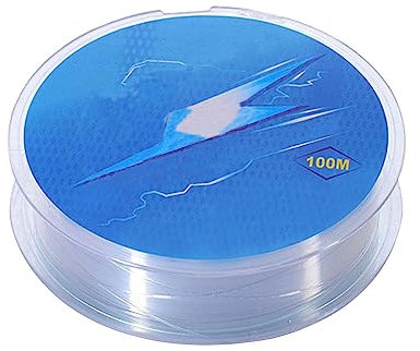 100 metri di lenza da pesca invisibile, 0,2 mm in nylon trasparente, monofilamento da pesca, filo da pesca resistente, per pesca e artigianato