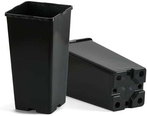 Pullmer Anzuchttöpfe extra hoch 11x11x21 cm, 50 Stück, Tiefwurzlern viereckiger Pflanzentöpf für Aussaat, für Sämlinge oder Stecklinge, Pikiertöpfe Kunststoff (50,11x11x21cm)