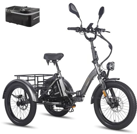 Fafrees F20 Mate E Bike Dreirad für Erwachsene Strassenzulassung [ Offiziell ] Damen Ebike Herren 180kg, Fat Elektrofahrrad 48V, Elektro Fahrrad 3 Räder für Senioren, elektrisch 3 Rad Fahrrad faltbar