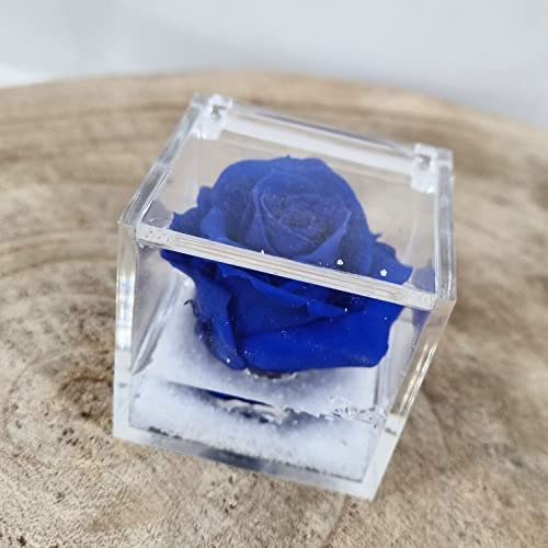 Sindy Bomboniere Rose stabilizzate in Scatola cubo Vari Colori con Gel e Sabbia (Blu)