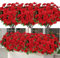 Weldomcor 8 Bündel Künstliche Blumen, Kunstblumen wie Echt für Freien und Innen UV Beständig Kunstpflanzen für Draußen Balkon Balkonkasten Hängende Garten Fenster Innen Außenbereichen, Rot