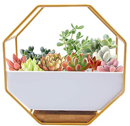 O'woda White Ceramic Wall Planters,Drainage Hole with Bamboo Tray -7” Hanging Wall Decor Pot Great for Succulent Plants Mini Cactus Faux Plants,Modern Indoor Decor for Home and Office(Gold Metal)