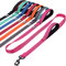 VIVAGLORY Twingrip Führleine Hund, Leine Hund Hausleine Joggingleine, Hundeleine mit 2 Griffen Doppelgriff, Gepolstert Neopren & Reflektierend, 1.5m x 2.5cm, Rosa