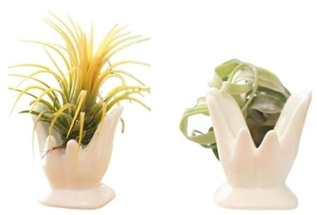 ourhommie Air Plant Holder Cute Ceramic Mini Hand Shape Stand Airplants Tillandsia Small Container Pot Plant Decorative Home Decor for Desk Table Shelf Office Decorations, White