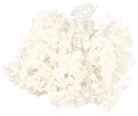 Amosfun 1packung Pack Mit Getrockneten Hydrangea-blütenblättern Weiß Natürliche Konservierte Blüten Für Hochzeitsdeko Kunstprojekte Und Nagelkunst Für Kreative Dekorationen