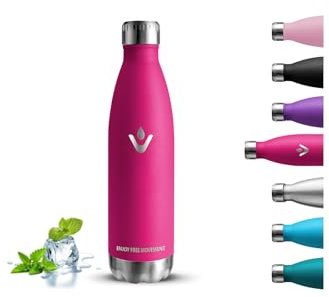 Borraccia Termica, 500 ml Borraccia Bambini, Senza BPA, Borraccia Acciaio Inox, Senza Perdite, Borracce Termiche, Isolato Sottovuoto, Bottiglia Termica per Scuole, Campeggio, Uffici, Caffè, Viaggio